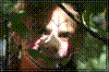 comp_IMG_1899.jpg